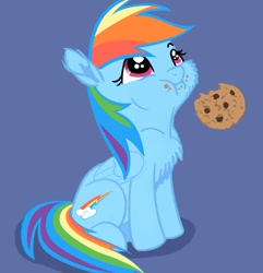 Size: 822x851 | Tagged: safe, artist:bri-sta, artist:glittering-pony, artist:longren, edit, rainbow dash, pegasus, pony, :t, chest fluff, cookie, cute, dashabetes, eating, filly, filly rainbow dash, fluffy, looking up, messy eating, simple background, sitting, solo