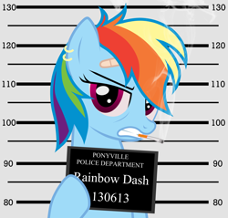 Size: 1782x1706 | Tagged: safe, artist:jennieoo, rainbow dash, pegasus, pony, bandaid, breaking bad, cigarette, ear piercing, earring, height scale, jesse pinkman, jewelry, mugshot, piercing, smoking, solo