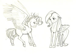 Size: 1024x727 | Tagged: safe, artist:skyaircobra, derpibooru import, fluttershy, rainbow dash, pegasus, pony, blank flank, duo, filly, filly fluttershy, filly rainbow dash, monochrome, pencil drawing, simple background, sketch, spread wings, standing, traditional art, younger