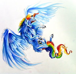 Size: 800x776 | Tagged: safe, artist:lucky978, rainbow dash, wolf, solo, species swap, traditional art, wolf dash, wolfified