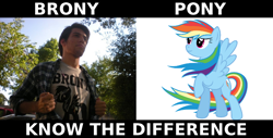 Size: 800x405 | Tagged: safe, rainbow dash, pegasus, pony, brony, know the difference, windswept mane