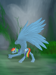Size: 1200x1600 | Tagged: safe, artist:adalbertus, rainbow dash, pegasus, pony, blue coat, female, impossibly large wings, mare, multicolored mane, solo