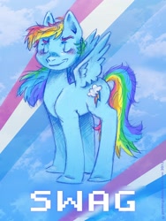 Size: 1800x2400 | Tagged: safe, artist:gezibing, rainbow dash, pegasus, pony, blue coat, female, mare, multicolored mane, solo, swag