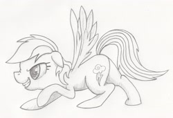 Size: 3981x2718 | Tagged: safe, artist:aqnichols, rainbow dash, pegasus, pony, monochrome, solo, traditional art