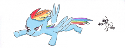 Size: 850x329 | Tagged: safe, artist:shawncuddle, derpibooru import, rainbow dash, pegasus, pony, blue coat, female, mare, multicolored mane