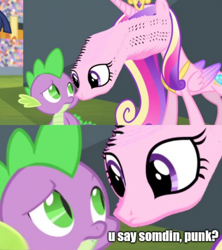 Size: 1080x1214 | Tagged: safe, artist:dwk, edit, edited screencap, editor:apex soundwave, screencap, princess cadance, spike, alicorn, dragon, pony, equestria games (episode), are you frustrated?, cadance is not amused, duo, equestria games, image macro, impact font, meme, text, totally legit recap, unamused, wat, why the long face