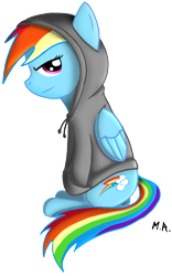 Size: 571x918 | Tagged: safe, artist:shadowninja976, rainbow dash, pegasus, pony, clothes, hoodie, solo