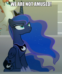 Size: 600x714 | Tagged: safe, edit, edited screencap, screencap, princess luna, alicorn, pony, horse play, cropped, image macro, meme, solo focus