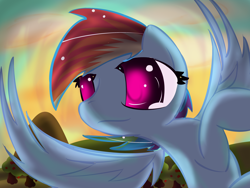 Size: 4000x3000 | Tagged: safe, artist:strangemoose, rainbow dash, pegasus, pony, detailed background, female, mare, solo