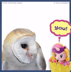 Size: 764x768 | Tagged: safe, screencap, princess cadance, alicorn, bird, owl, pony, barn owl, cutie mark crew, facebook, puzzled, surprised, toy