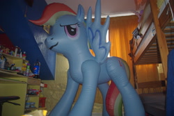 Size: 3872x2592 | Tagged: safe, derpibooru import, rainbow dash, bootleg, hongyi, inflatable, irl, merchandise, photo