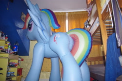 Size: 3872x2592 | Tagged: safe, derpibooru import, rainbow dash, bootleg, hongyi, inflatable, irl, photo, plot