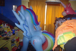 Size: 3872x2592 | Tagged: safe, derpibooru import, rainbow dash, balloonicorn, bootleg, hongyi, inflatable, irl, merchandise, photo