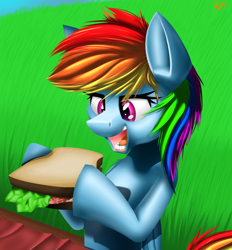 Size: 1845x1984 | Tagged: safe, artist:ralek, rainbow dash, pegasus, pony, blue coat, female, mare, multicolored mane, sandwich, solo