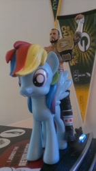 Size: 541x960 | Tagged: safe, rainbow dash, championship belt, cm punk, custom, funko, irl, photo, toy, wrestling, wwe