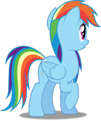 Size: 4173x5000 | Tagged: safe, artist:dashiesparkle, derpibooru import, rainbow dash, pegasus, pony, applebuck season, .svg available, absurd resolution, raised hoof, simple background, solo, transparent background, vector