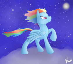 Size: 1000x876 | Tagged: safe, artist:kunomasu, rainbow dash, pegasus, pony, cloud, night, solo