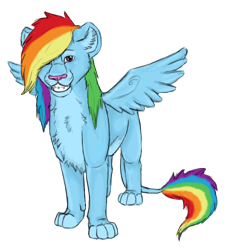 Size: 680x748 | Tagged: safe, artist:sambirani, rainbow dash, big cat, lion, female, lionbow dash, lioness, lionified, simple background, solo, species swap, spread wings, transparent background, wings