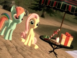 Size: 1024x768 | Tagged: safe, fluttershy, rainbow dash, pegasus, pony, 3d, beach, gmod, party, present, relaxing