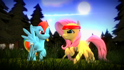 Size: 1920x1080 | Tagged: safe, artist:d0ntst0pme, fluttershy, rainbow dash, pegasus, pony, 3d, band, gmod, not sfm, wristband