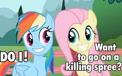 Size: 580x362 | Tagged: safe, edit, edited screencap, screencap, fluttershy, rainbow dash, pegasus, pony, may the best pet win, cropped, duo, faic, image macro, killing spree