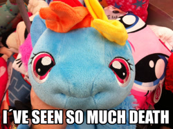 Size: 1280x956 | Tagged: safe, derpibooru import, rainbow dash, hasbro, i've seen some shit, image macro, irl, kill me, meme, merchandise, photo, pillow pet, plushie