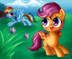 Size: 2000x1636 | Tagged: safe, artist:zorbitas, rainbow dash, scootaloo, pegasus, pony, flower, frisbee, grass, playing, scootalove