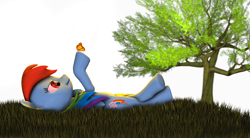 Size: 2748x1512 | Tagged: safe, artist:turbovilka, derpibooru import, rainbow dash, butterfly, pegasus, pony, 3d, on back, source filmmaker, tree