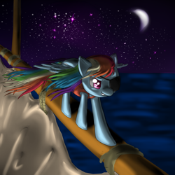 Size: 1000x1000 | Tagged: safe, artist:m_d_quill, rainbow dash, pegasus, pony, pirate, pirate dash, ship, solo