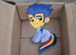 Size: 756x540 | Tagged: safe, edit, flash sentry, rainbow dash, pegasus, pony, fanfic:my little dashie, exploitable meme, flash sentry savior of the universe, meme, my little bradley, my little flashy