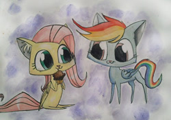 Size: 565x395 | Tagged: safe, artist:pechenyuha, fluttershy, rainbow dash, cat, cute, muffin, rainbow cat, species swap