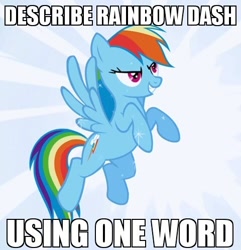 Size: 480x498 | Tagged: safe, rainbow dash, pegasus, pony, female, image macro, mare, simple background, solo