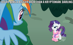 Size: 873x541 | Tagged: safe, edit, edited screencap, screencap, rainbow dash, rarity, pegasus, pony, unicorn, suited for success, bathrobe, clothes, darling, ei, grammar error, hub logo, meme, robe, superdickery