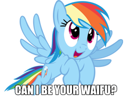 Size: 1024x823 | Tagged: safe, rainbow dash, pegasus, pony, bronybait, image macro, solo, waifu