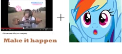 Size: 1360x610 | Tagged: safe, rainbow dash, pegasus, pony, chimpanzee riding on a segway, exploitable meme, make it happen, meme, youtube