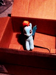 Size: 2448x3264 | Tagged: safe, derpibooru import, rainbow dash, fanfic:my little dashie, irl, photo, plushie, ty