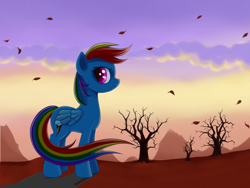 Size: 1600x1200 | Tagged: safe, artist:rainbow, rainbow dash, pegasus, pony, autumn, blue coat, female, mare, multicolored mane, solo