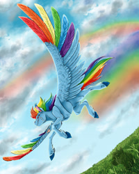 Size: 1024x1280 | Tagged: safe, artist:biakela, derpibooru import, rainbow dash, pegasus, pony, colored wings, fluffy, flying, grin, large wings, multicolored wings, rainbow feathers, solo, spread wings, unshorn fetlocks, wings