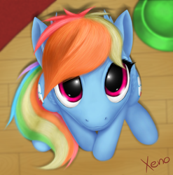 Size: 1024x1038 | Tagged: safe, artist:the1xeno1, derpibooru import, rainbow dash, pegasus, pony, cute, dashabetes, looking at you, solo