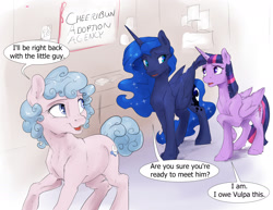 Size: 1980x1530 | Tagged: safe, artist:silfoe, princess luna, twilight sparkle, twilight sparkle (alicorn), oc, oc:cheeribun, alicorn, pony, comic, dialogue, female, looking at each other, royal sketchbook, sequence, speech bubble, trio