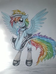 Size: 1024x1365 | Tagged: safe, artist:penkatshi, derpibooru import, rainbow dash, pegasus, pony, bipedal, blushing, clothes, fishnet stockings, maid, sketch, solo, traditional art