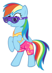 Size: 2152x2998 | Tagged: safe, artist:sollace, derpibooru import, edit, rainbow dash, pegasus, pony, tanks for the memories, clothes, midriff, shutter shades, simple background, solo, sports bra, standing up, sunglasses, swimming trunks, swimsuit, transparent background, vector, winter swimsuit