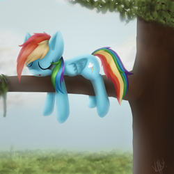 Size: 3000x3000 | Tagged: safe, artist:skybrush-viffex, rainbow dash, pegasus, pony, sleeping, solo, tree