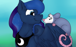 Size: 1600x1000 | Tagged: safe, artist:pavlovzdawg, princess luna, tiberius, alicorn, opossum, pony, female, mare