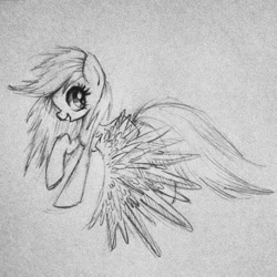 Size: 612x612 | Tagged: safe, artist:fourteenarrows, rainbow dash, pegasus, pony, monochrome, solo, traditional art