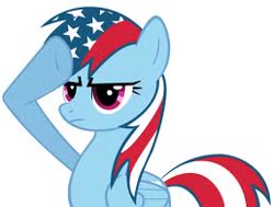 Size: 258x195 | Tagged: safe, rainbow dash, pegasus, pony, 4th of july, american independence day, independence day, rainbow dash salutes, salute, solo, united states