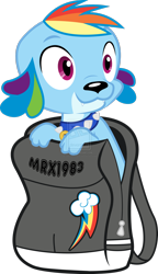 Size: 1280x2217 | Tagged: safe, artist:omega-style, rainbow dash, spike, dog, equestria girls, backpack, simple background, solo, species swap, spike the dog, transparent background, vector