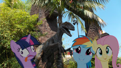 Size: 1024x577 | Tagged: safe, fluttershy, rainbow dash, twilight sparkle, dinosaur, pegasus, pony, velociraptor, derp, jurassic park, ponies in real life, tongue out, universal studios