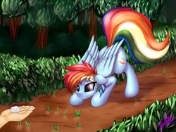 Size: 4000x3000 | Tagged: safe, artist:elzzombie, derpibooru import, rainbow dash, human, pegasus, pony, :o, cute, eyes on the prize, face down ass up, female, floppy ears, forest, hand, mare, pounce, solo focus, sugarcube