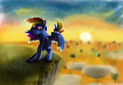 Size: 3162x2182 | Tagged: safe, artist:xbi, derpibooru import, rainbow dash, pegasus, pony, light, scenery, solo, windswept mane